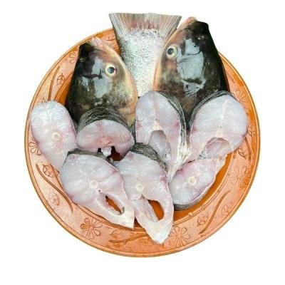 সিলভার কার্প